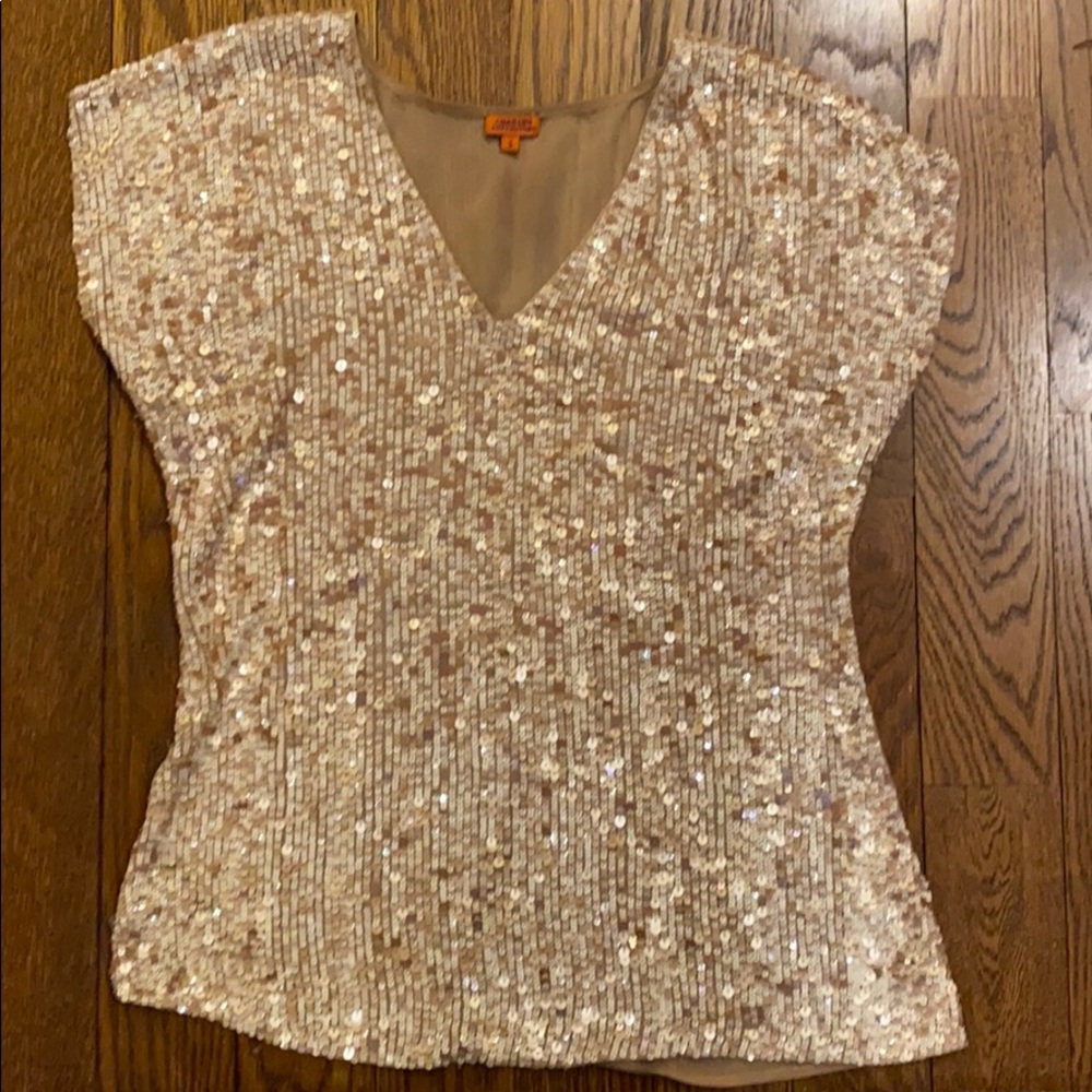 Chan Luu Sequin Top